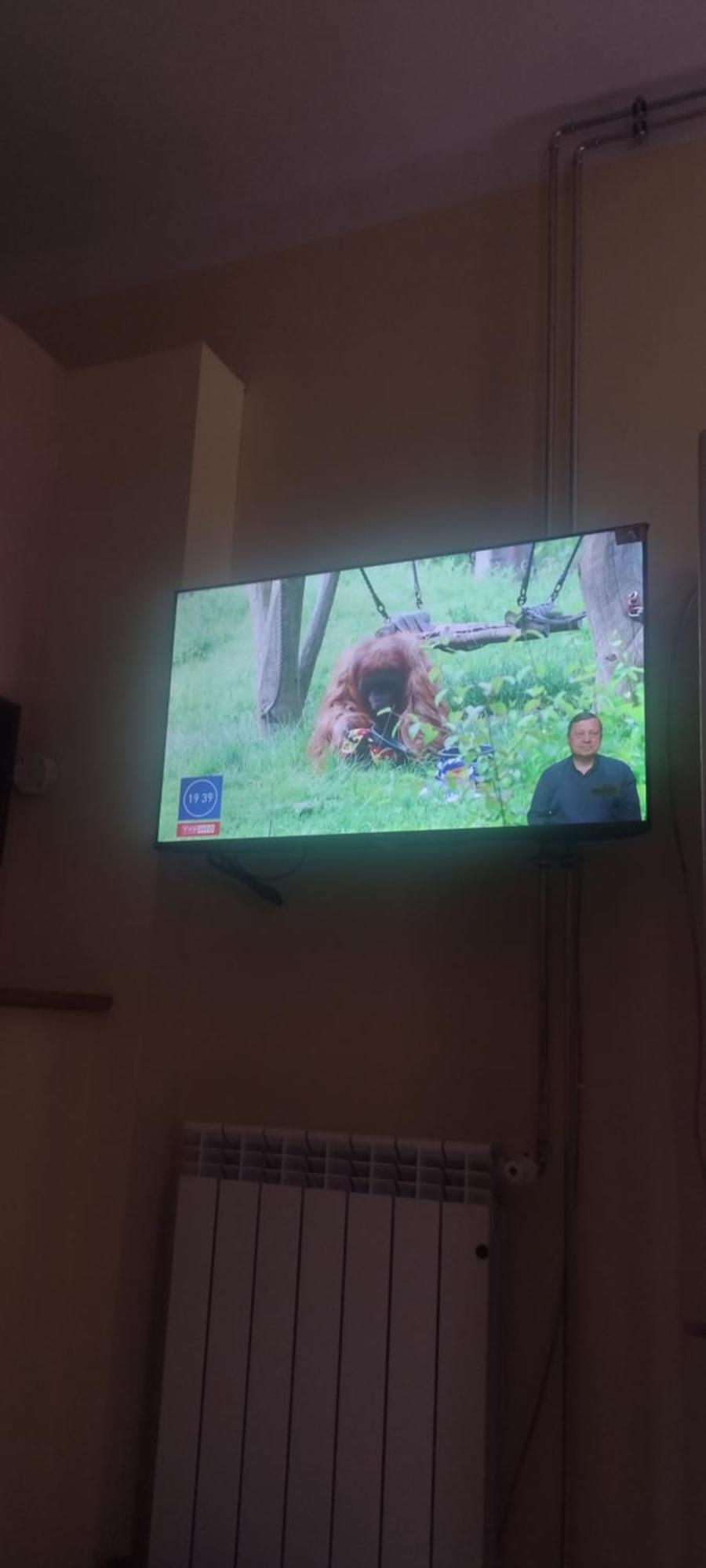 Zrodlana13 Apartamenty Makow Podhalanski Kültér fotó
